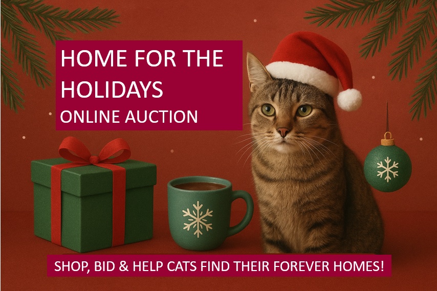 Home for the Holidays Online Auction advertisement featuring a cat wearing a Santa hat next to a gift box and a mug, with text: Shop, bid & help cats find their forever homes!.